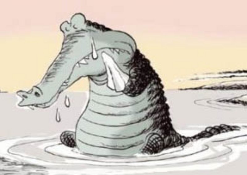 Крокодиловы слезы что хотел сказать автор